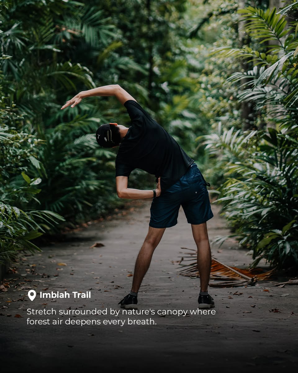 Scenic walking trails surrounded by lush tropical greenery