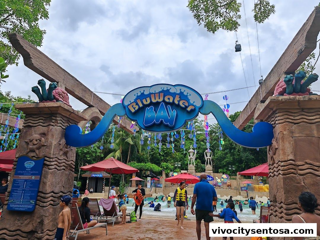 Adventure Cove Waterpark