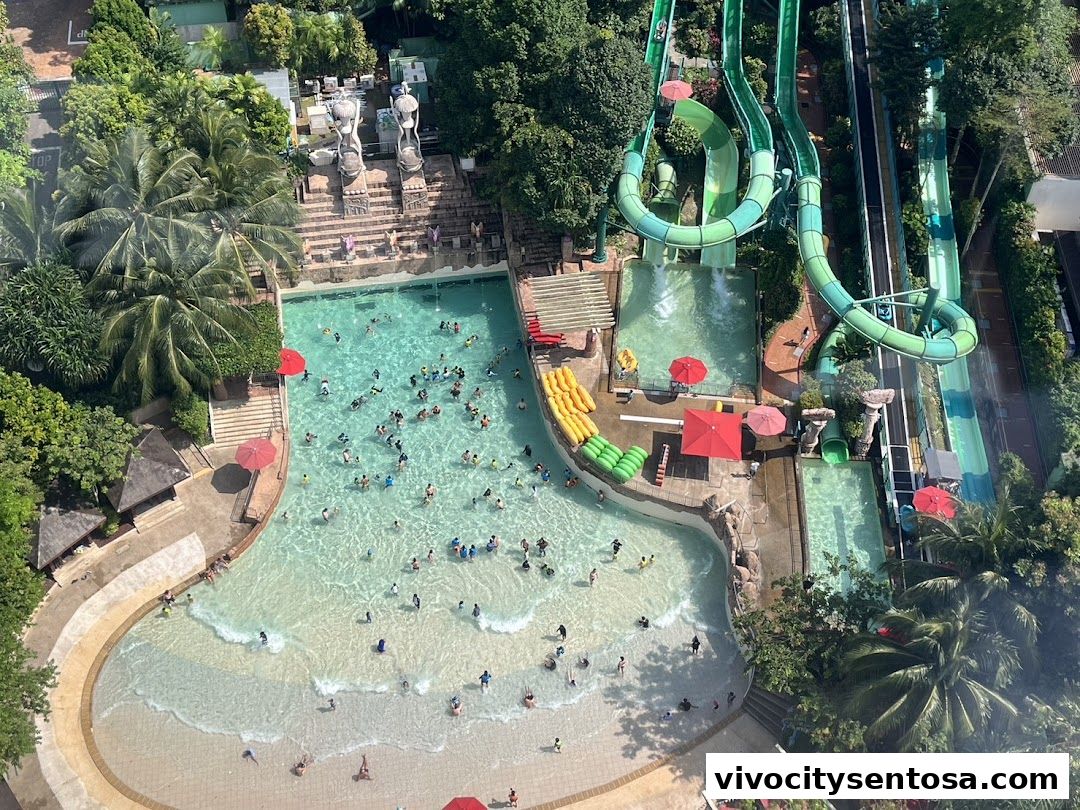 Adventure Cove Waterpark