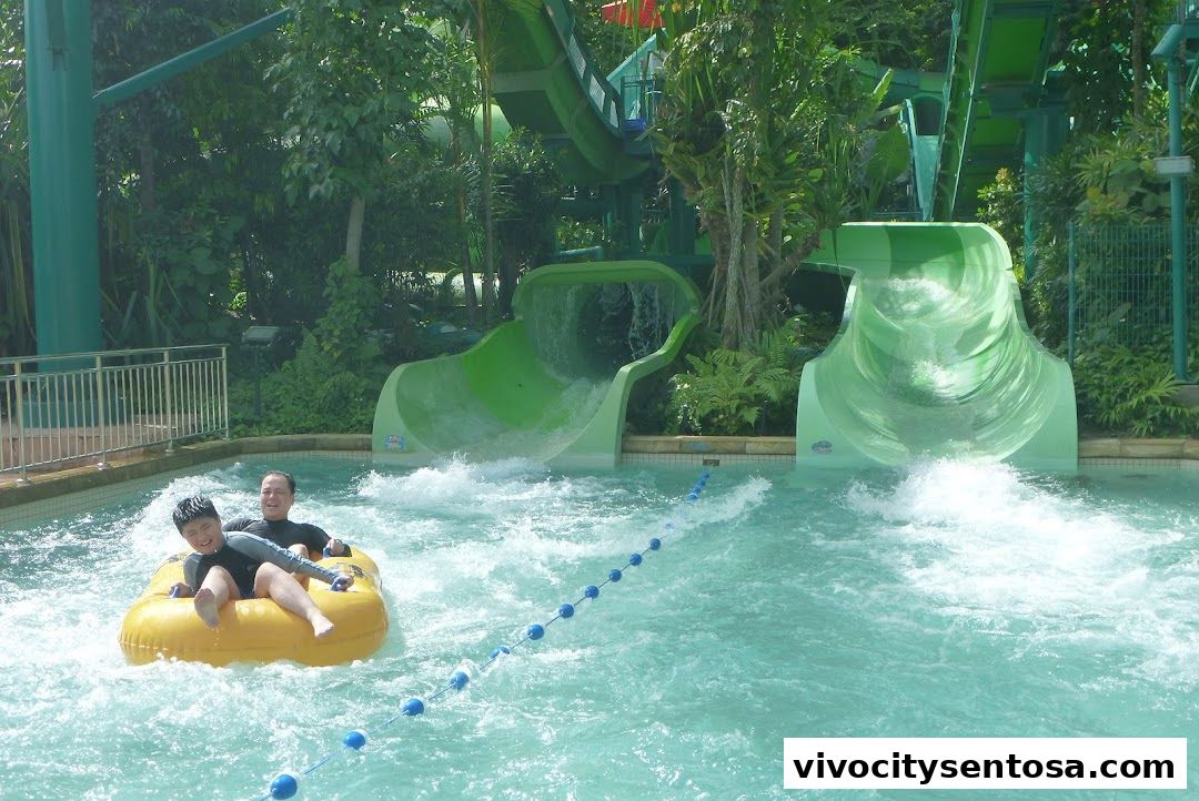 Adventure Cove Waterpark