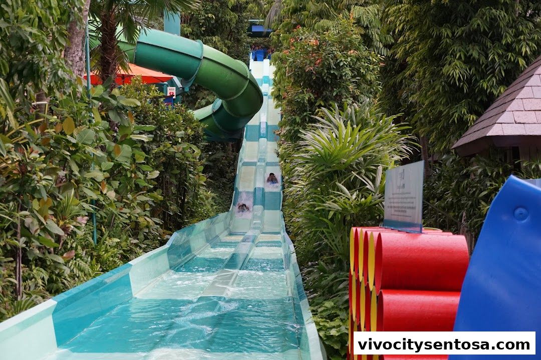 Adventure Cove Waterpark