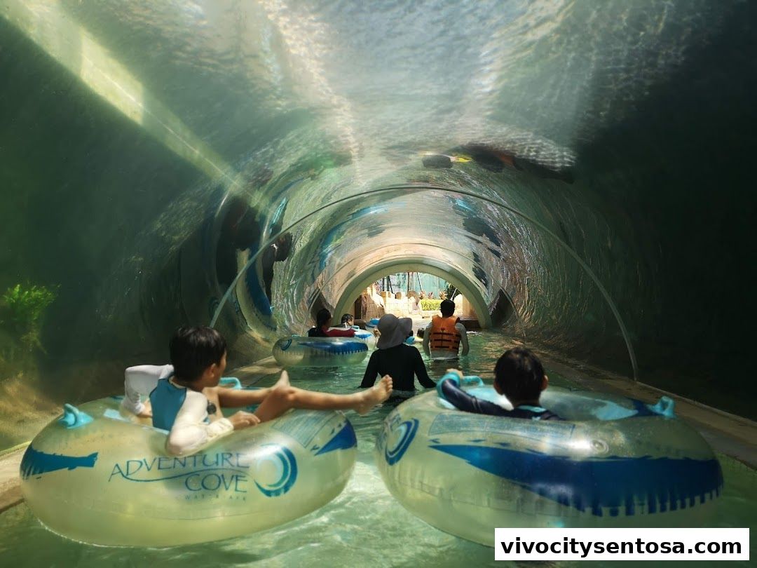 Adventure Cove Waterpark