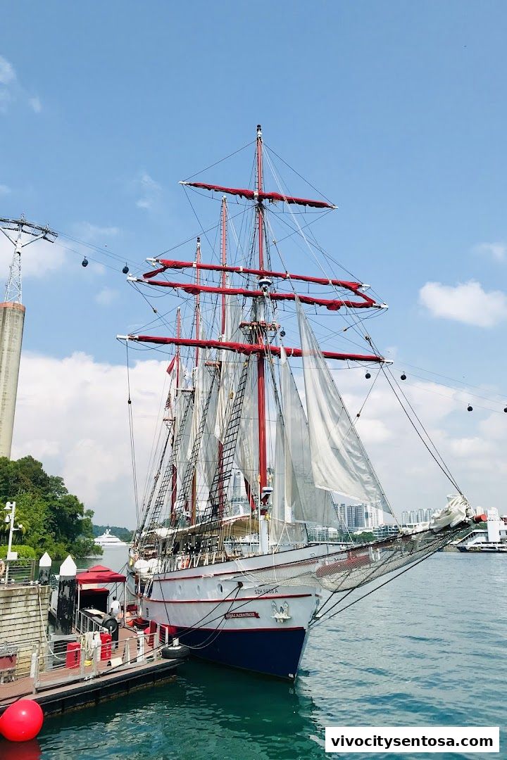 Adventure Cove Waterpark