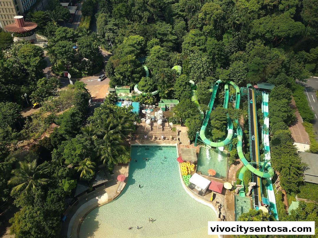 Adventure Cove Waterpark