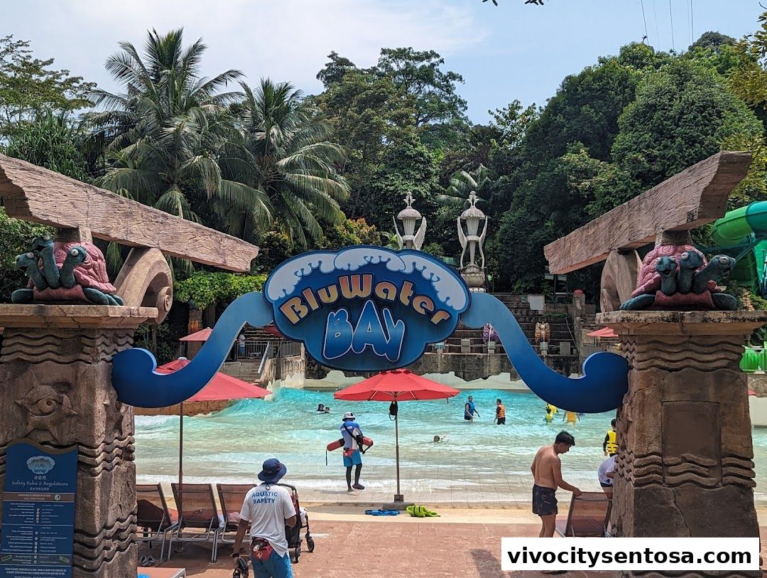 Adventure Cove Waterpark