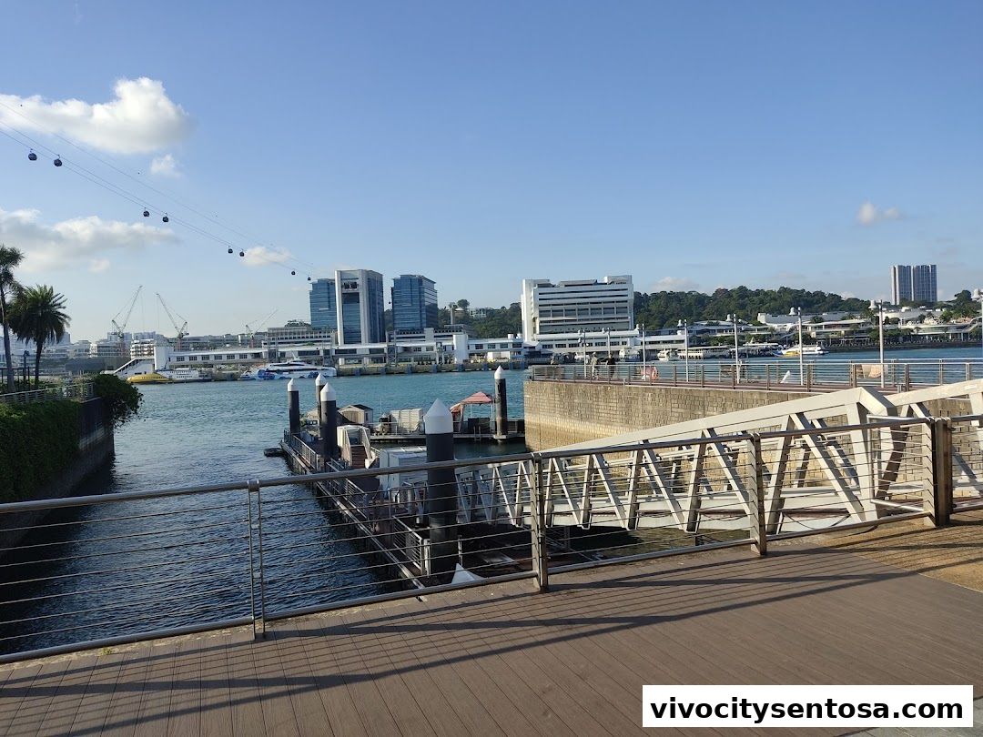 Adventure Cove Waterpark