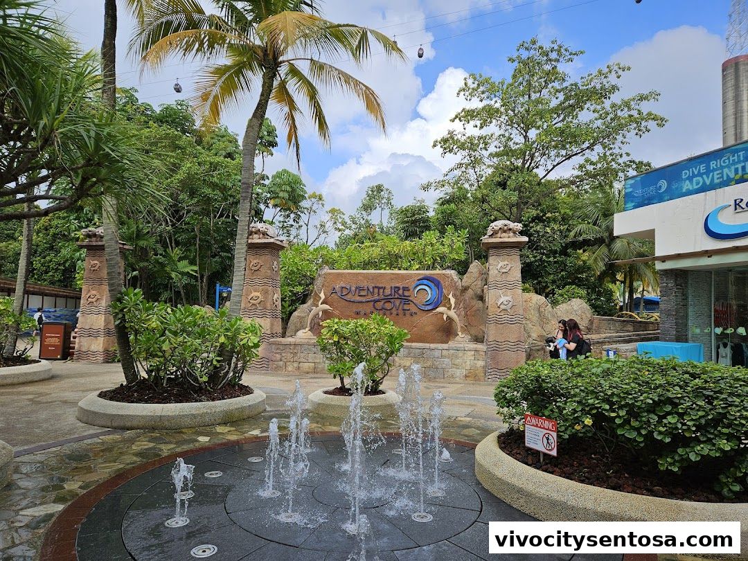 Adventure Cove Waterpark