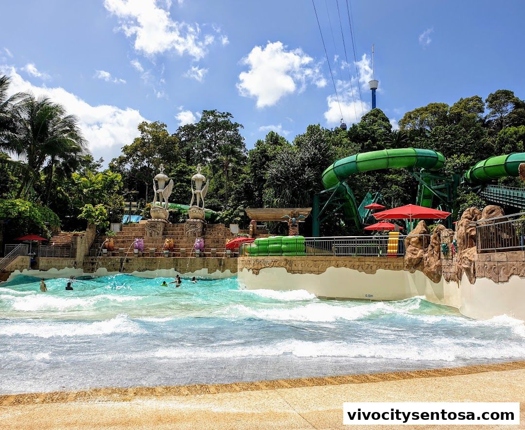 Adventure Cove Waterpark