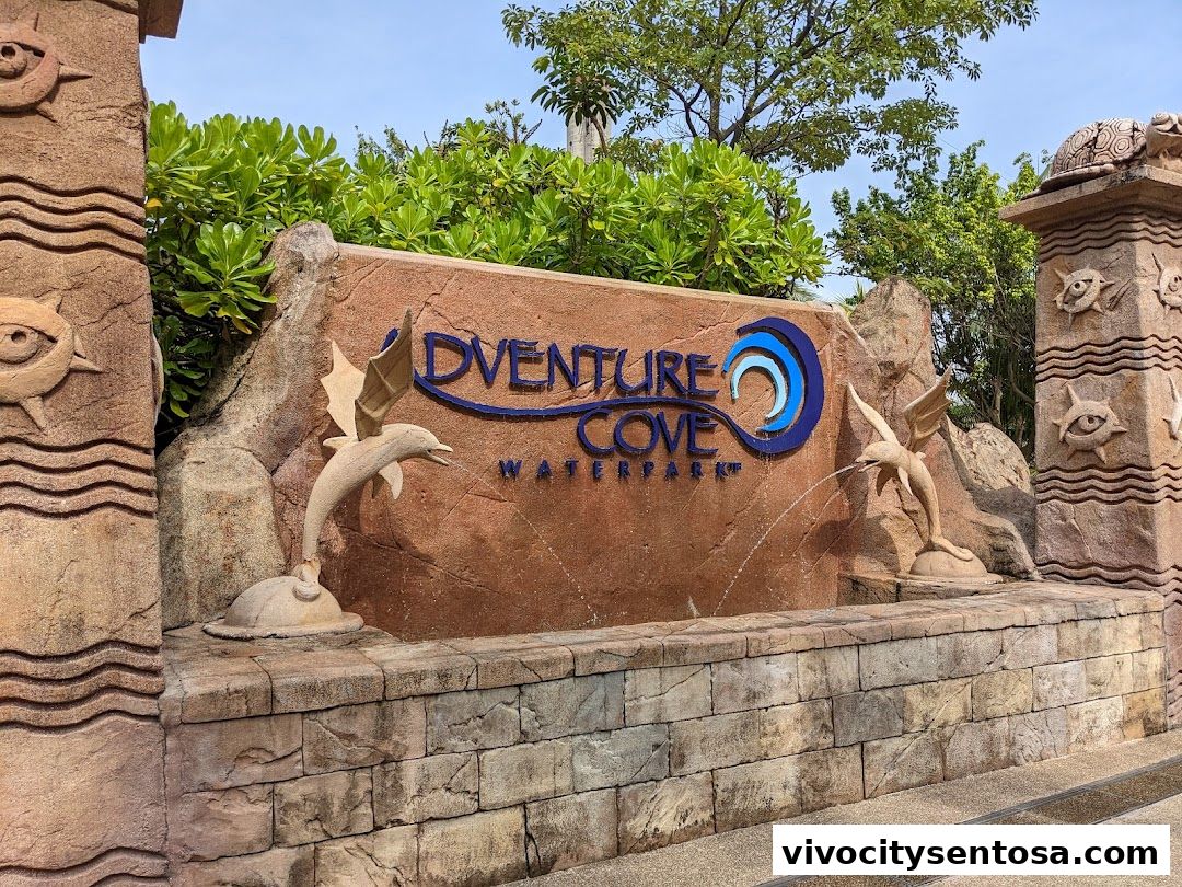 Adventure Cove Waterpark
