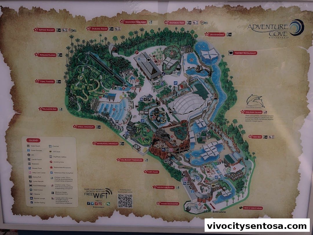 Adventure Cove Waterpark