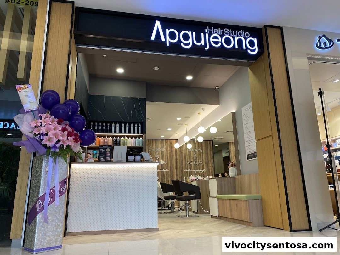 Apgujeong Hair Studio  VivoCity
