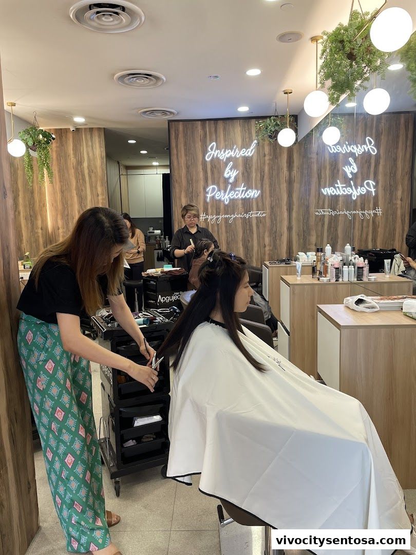 Apgujeong Hair Studio  VivoCity