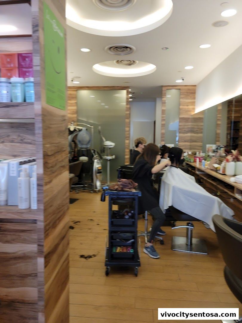 Apgujeong Hair Studio  VivoCity