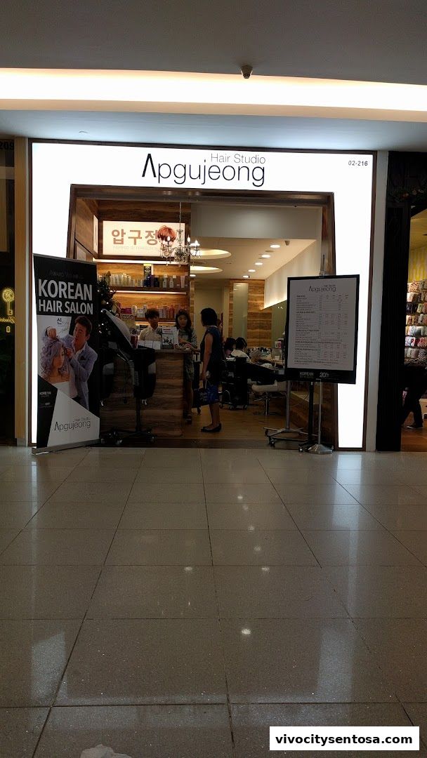 Apgujeong Hair Studio  VivoCity