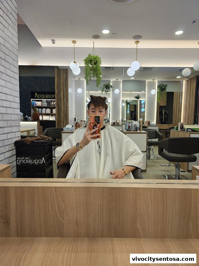 Apgujeong Hair Studio  VivoCity