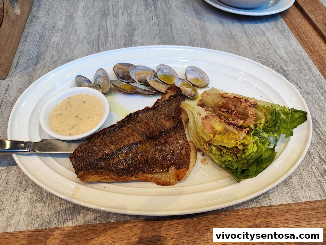 BatterCatch - VivoCity