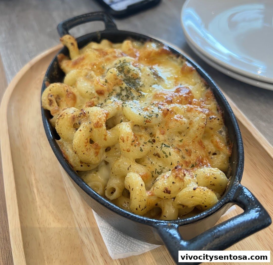 BatterCatch - VivoCity