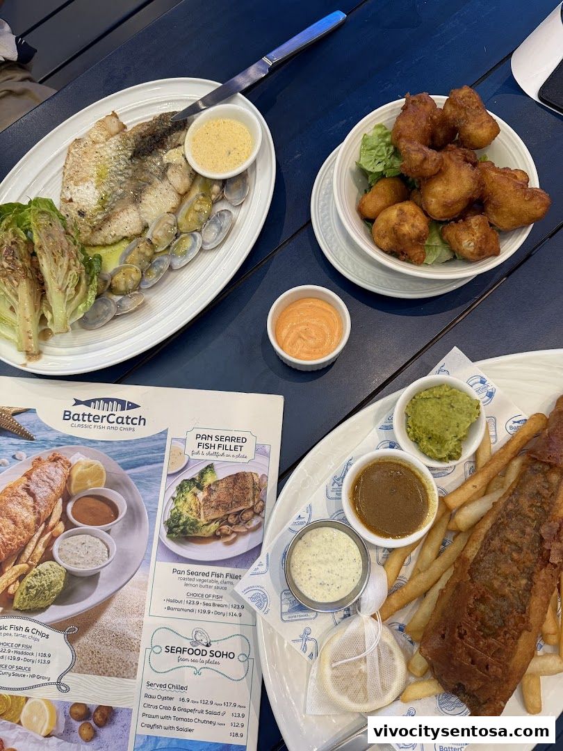 BatterCatch - VivoCity