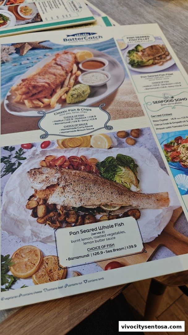 BatterCatch - VivoCity