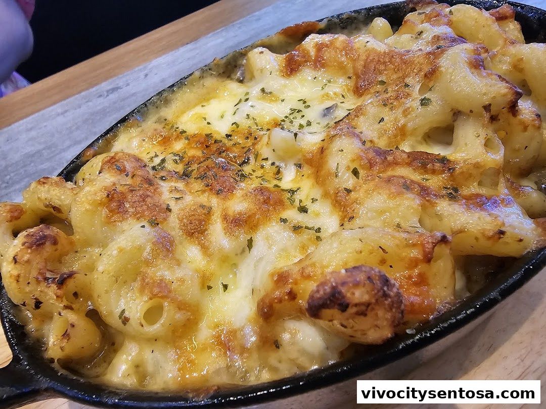 BatterCatch - VivoCity