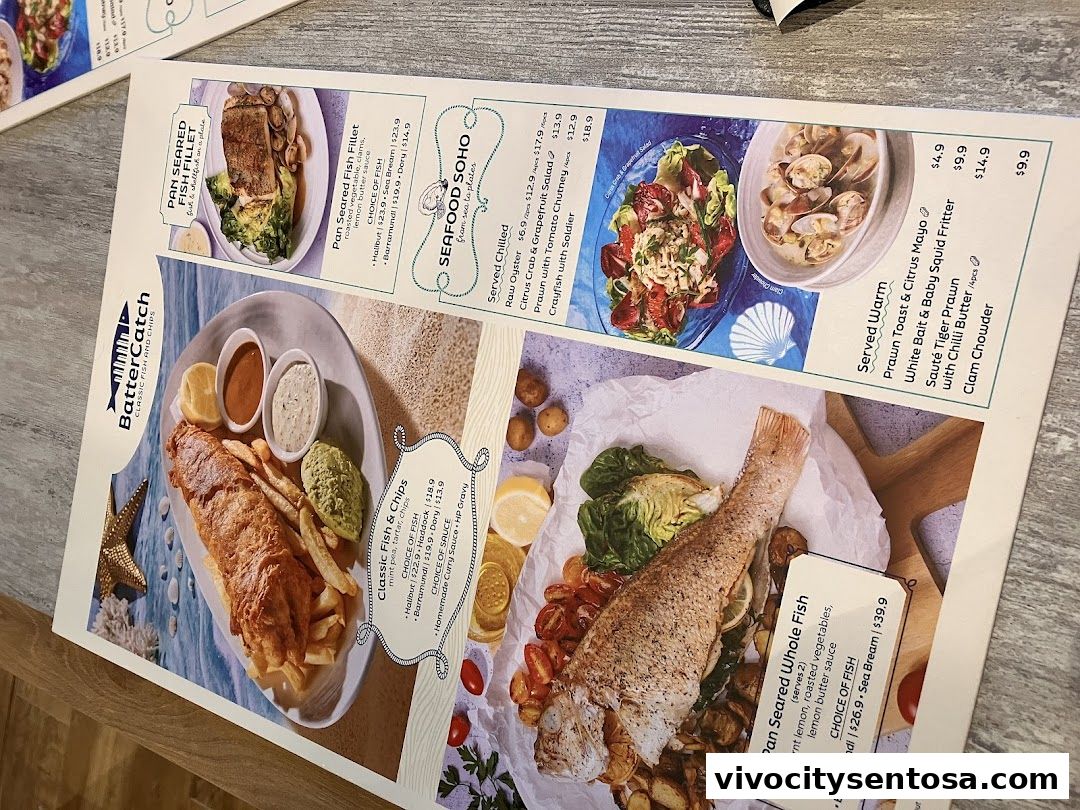 BatterCatch - VivoCity
