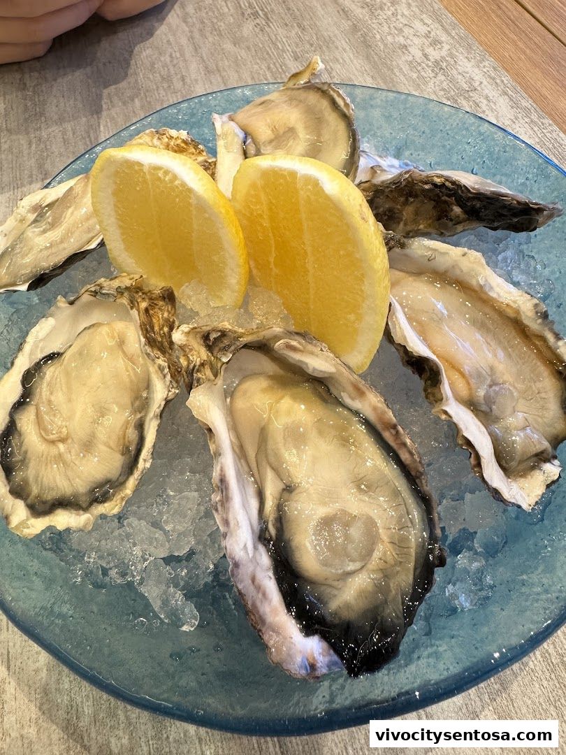 BatterCatch - VivoCity