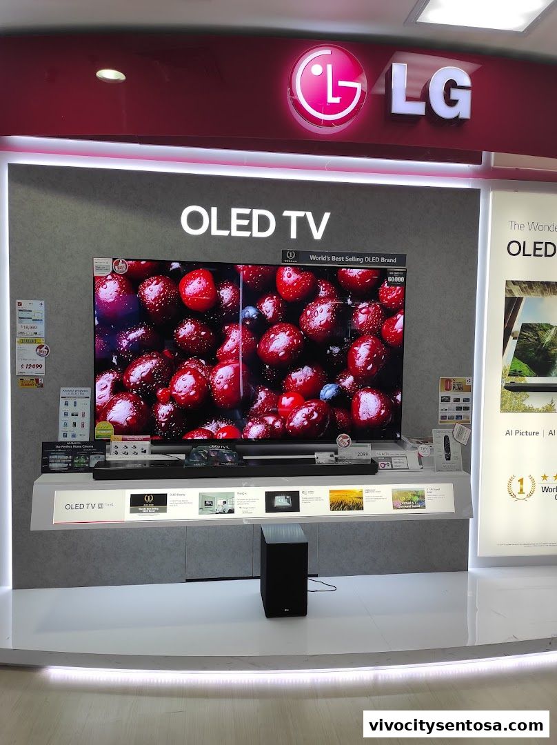 Best Denki Vivo City