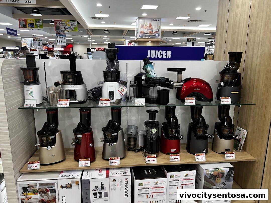 Best Denki Vivo City