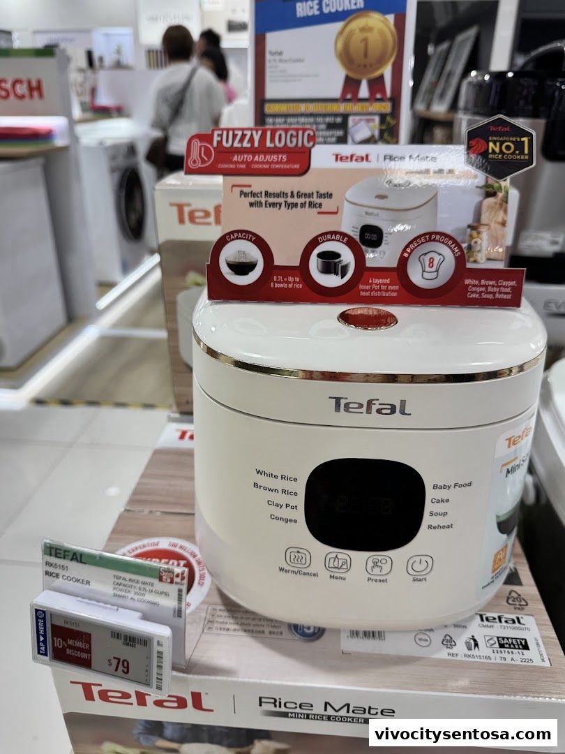 Best Denki Vivo City