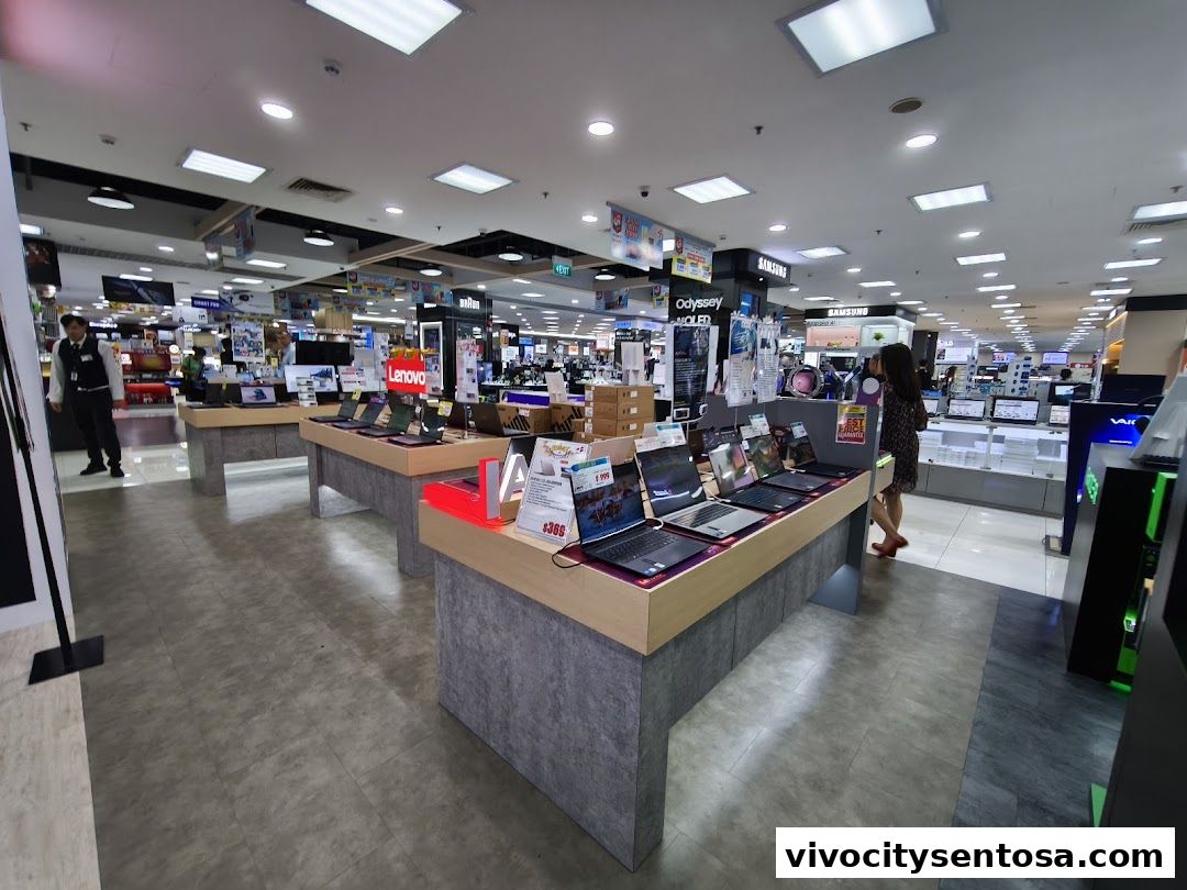 Best Denki Vivo City