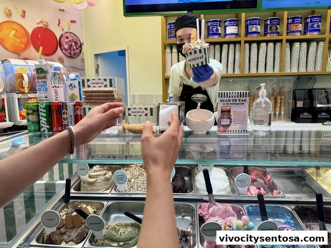 Carnival Ice Cream Singapore - 36 Flavours, Fresh Italian Ice Cream