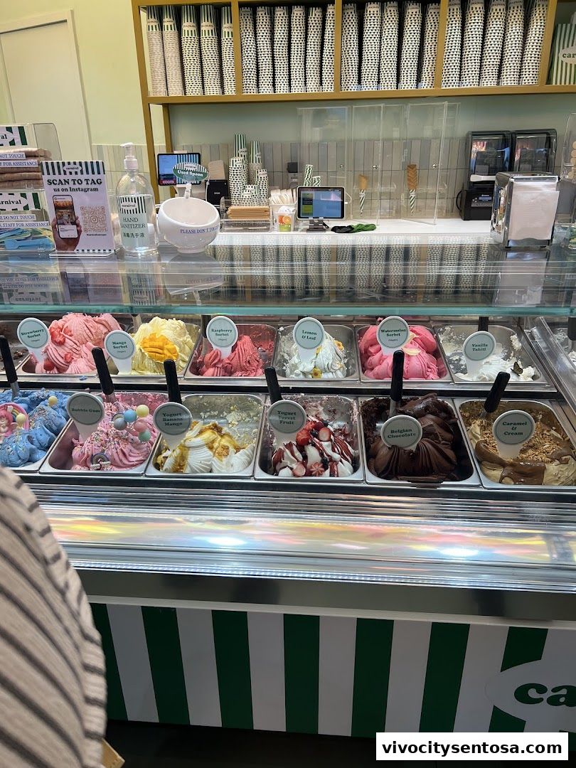Carnival Ice Cream Singapore - 36 Flavours, Fresh Italian Ice Cream