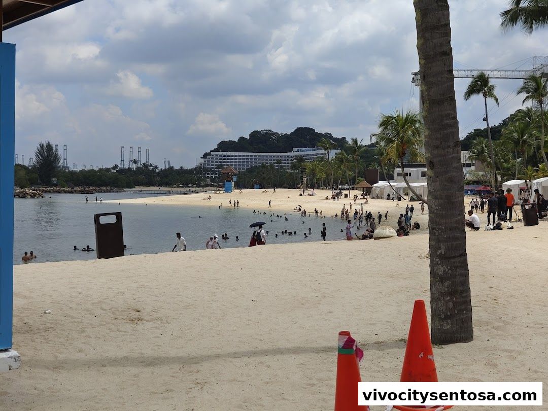 Central Beach Bazaar