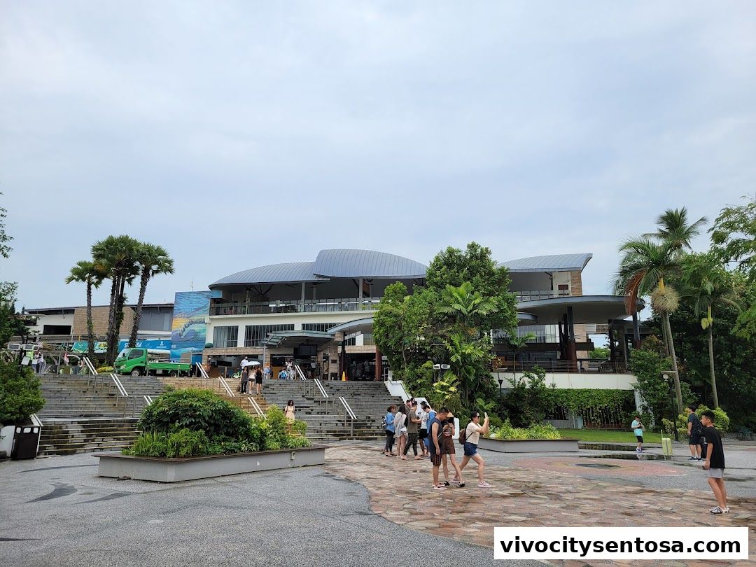 Central Beach Bazaar