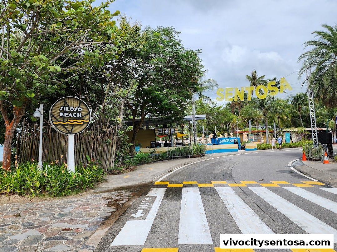 Central Beach Bazaar