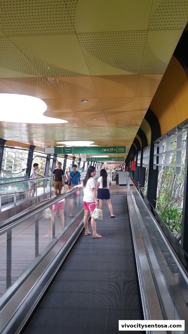 Cheers Vivo City