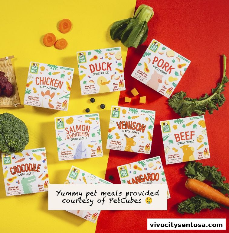 Chimichanga VivoCity