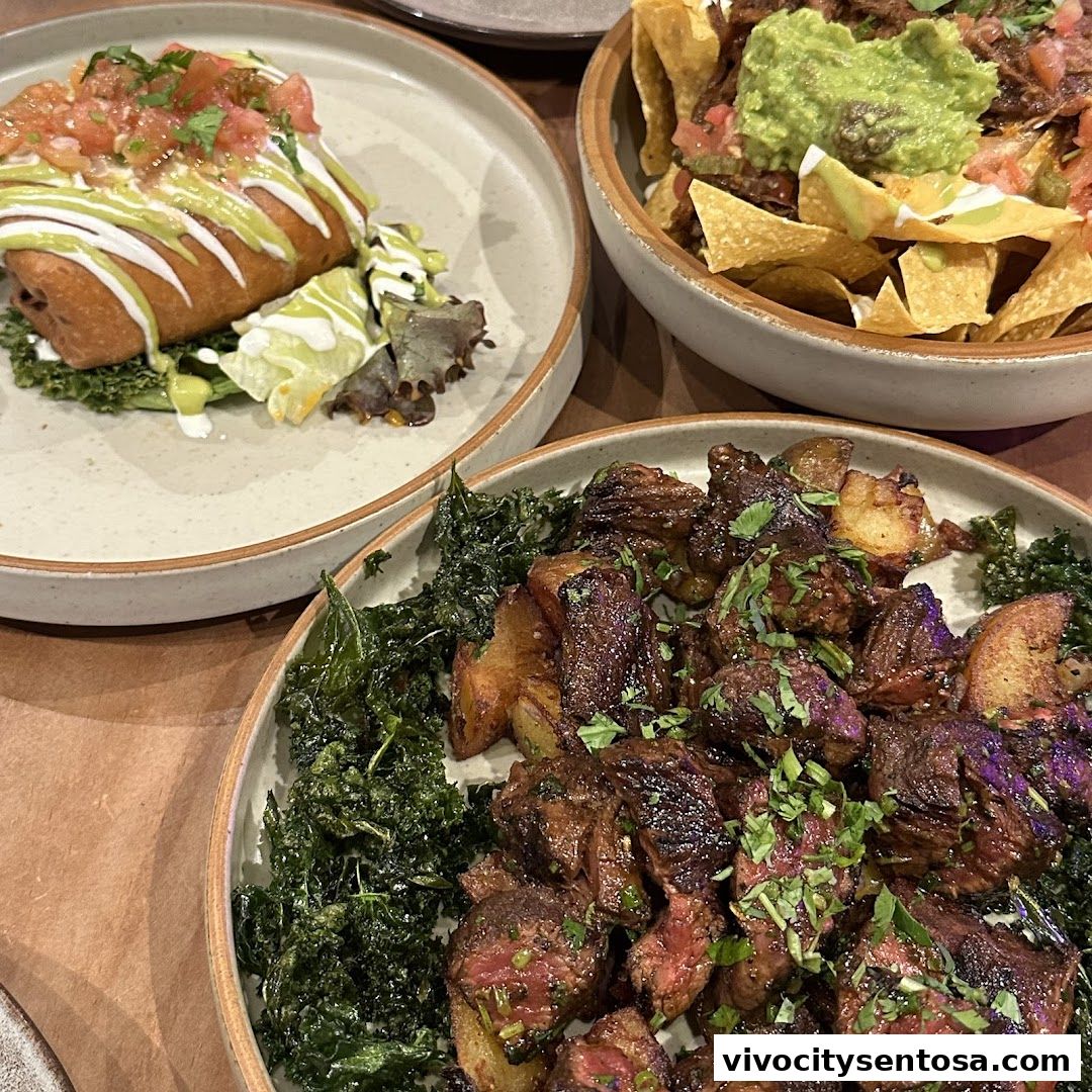 Chimichanga VivoCity