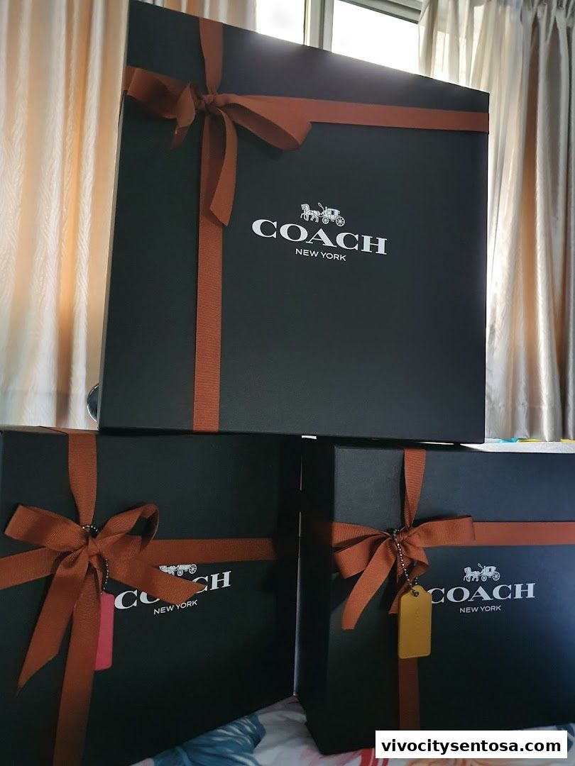 Coach Vivo City