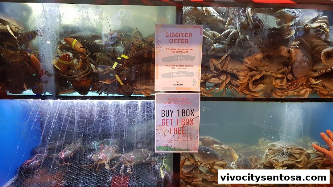 Dancing Crab VivoCity