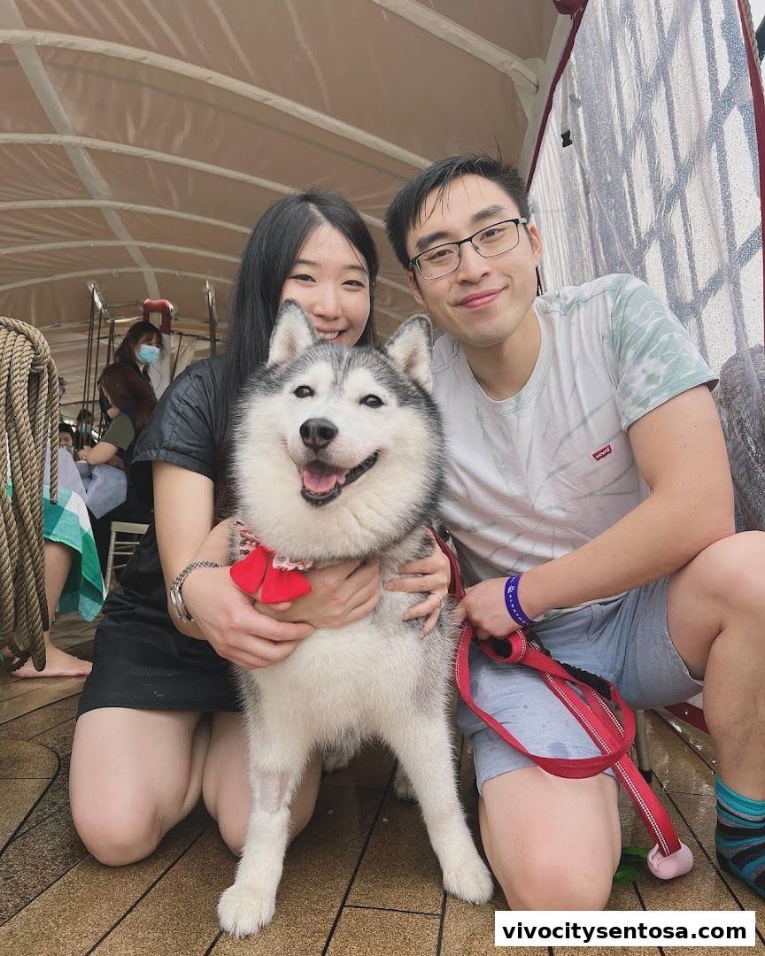 Dog Cruise Singapore