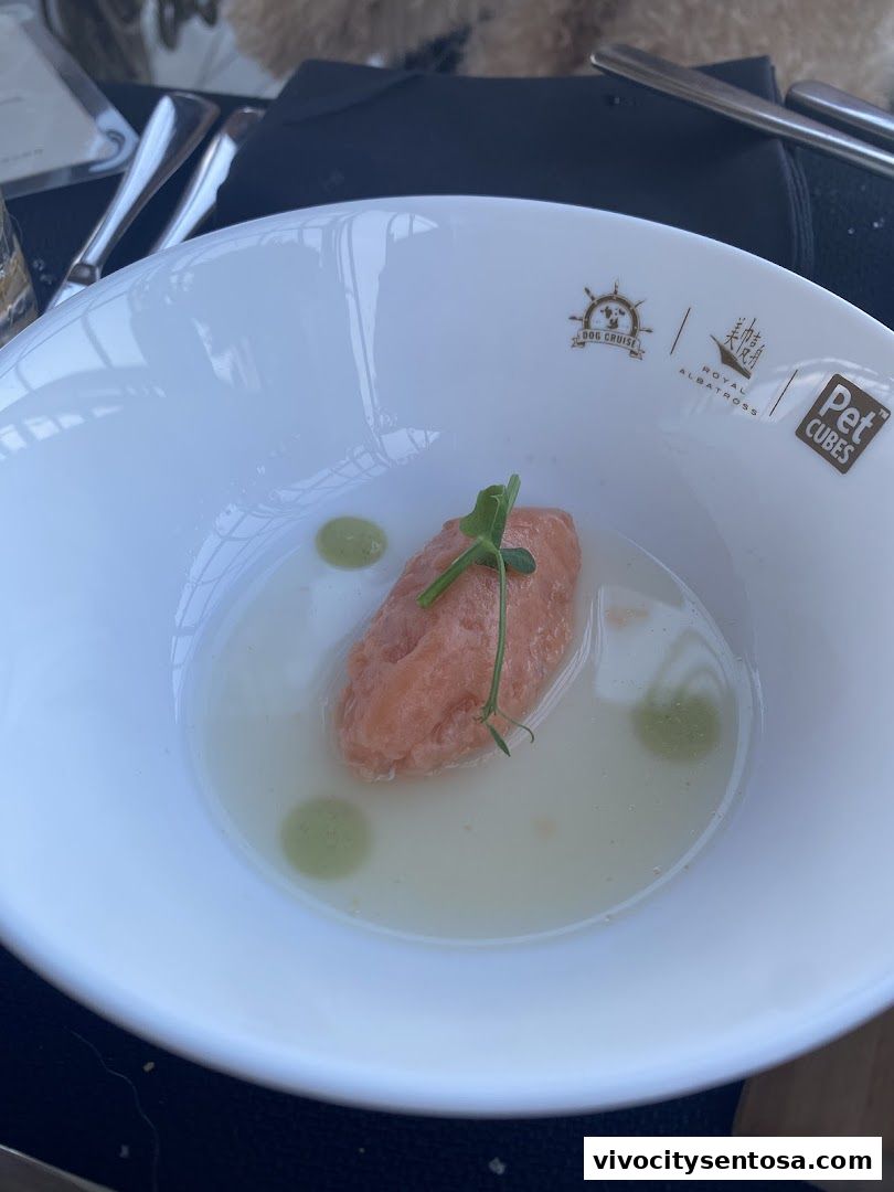 Dog Cruise Singapore