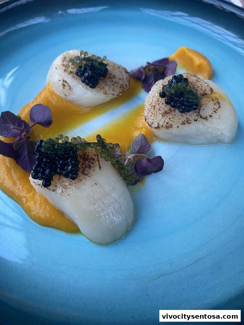 Dog Cruise Singapore