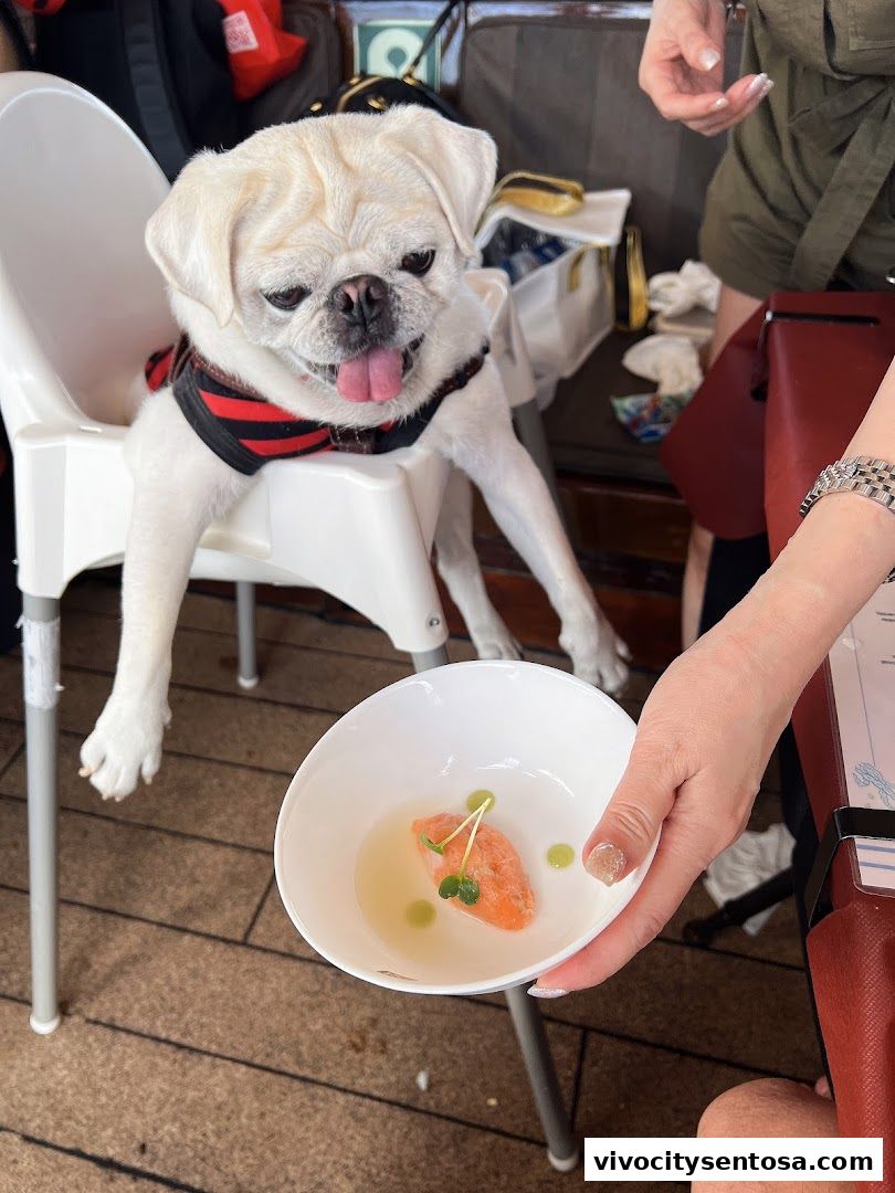 Dog Cruise Singapore