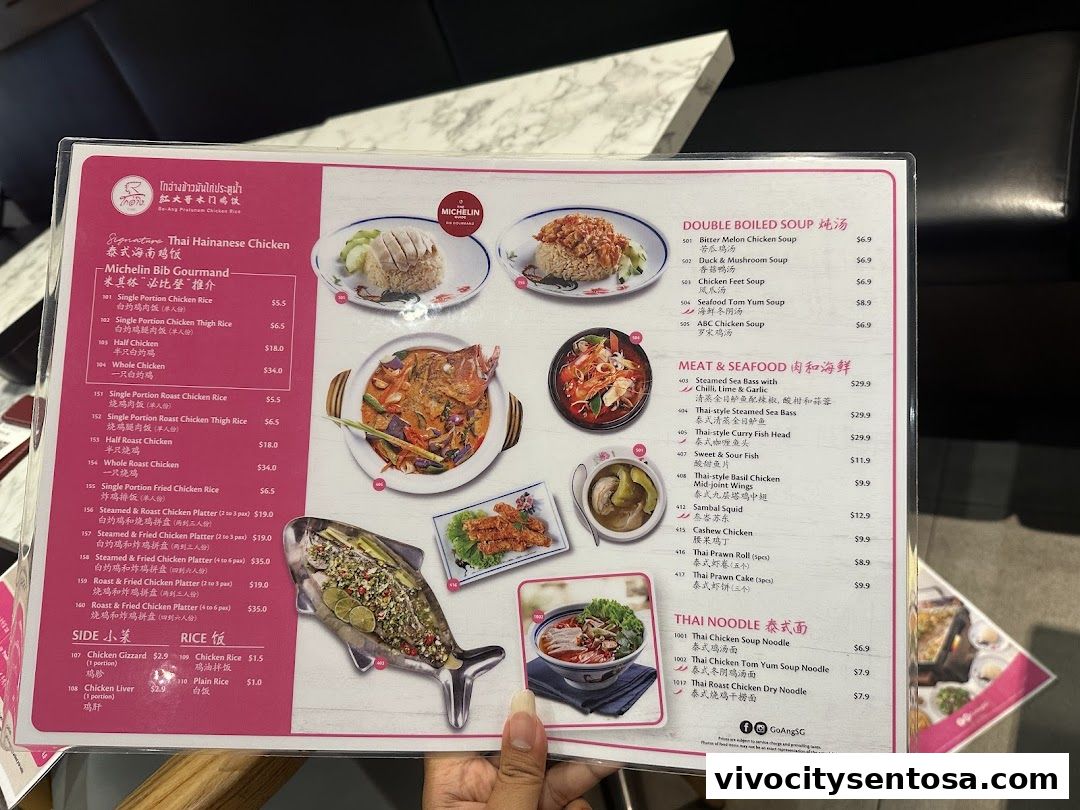 Go-Ang Pratunam Chicken Rice VivoCity