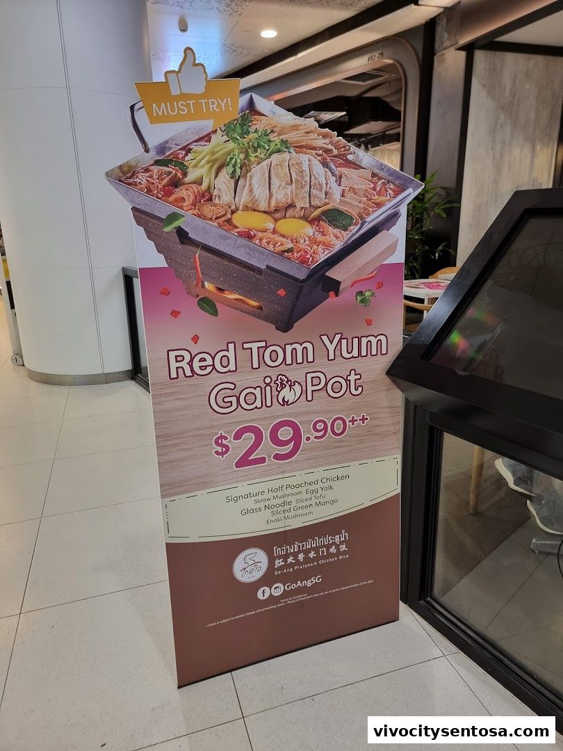 Go-Ang Pratunam Chicken Rice VivoCity