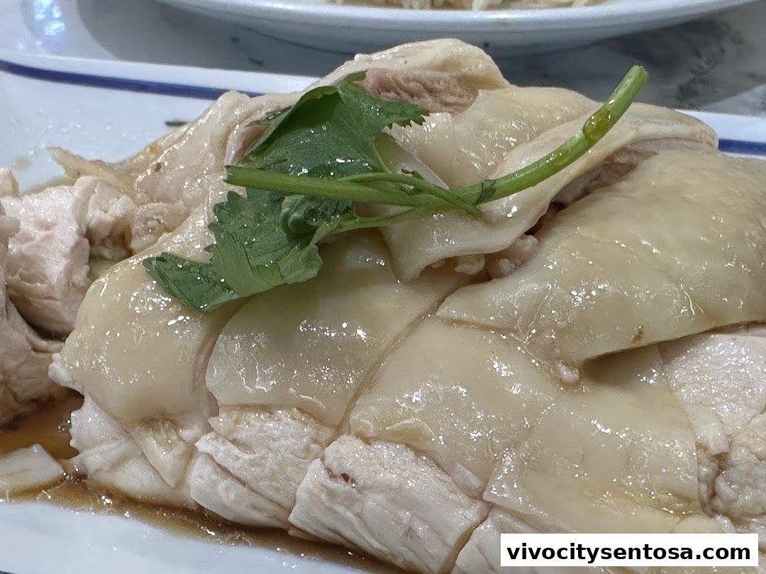 Go-Ang Pratunam Chicken Rice VivoCity