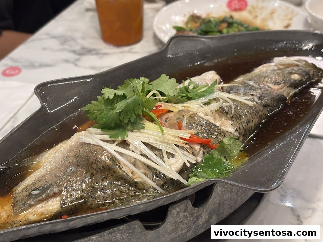 Go-Ang Pratunam Chicken Rice VivoCity