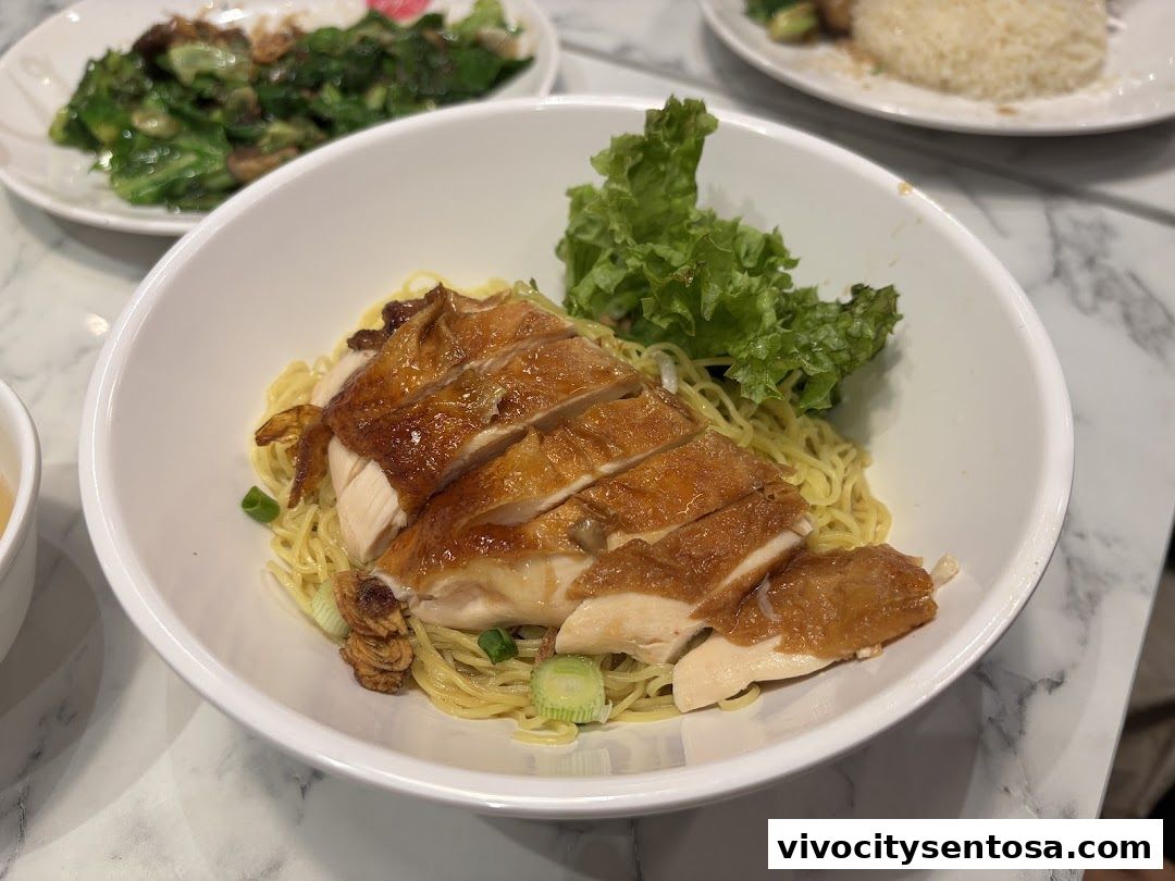Go-Ang Pratunam Chicken Rice VivoCity
