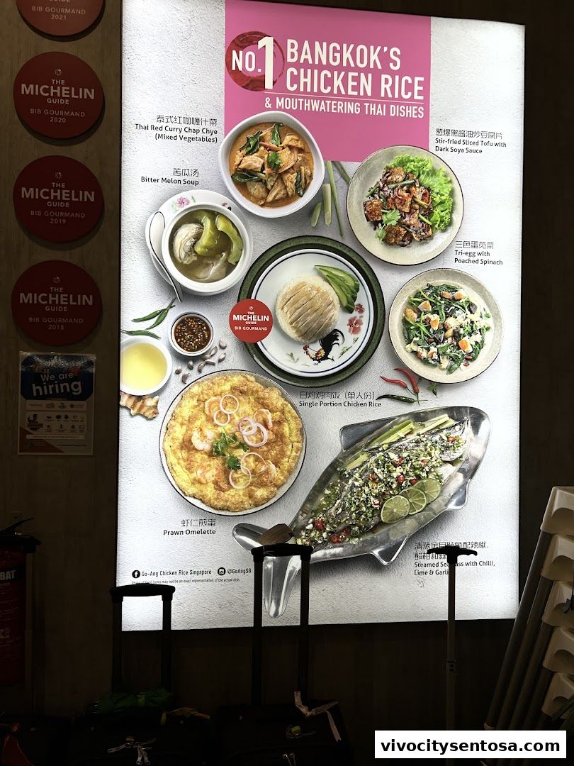 Go-Ang Pratunam Chicken Rice VivoCity